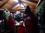 Rozsvícení stromečku v obci Vlkava